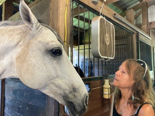 Donna Sue Rosenthal face to face with a grey horse